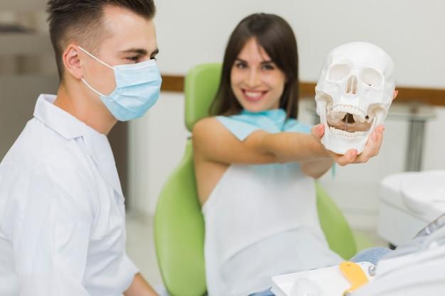 Стоматолог демонстрирует строение зубочелюстного аппарата